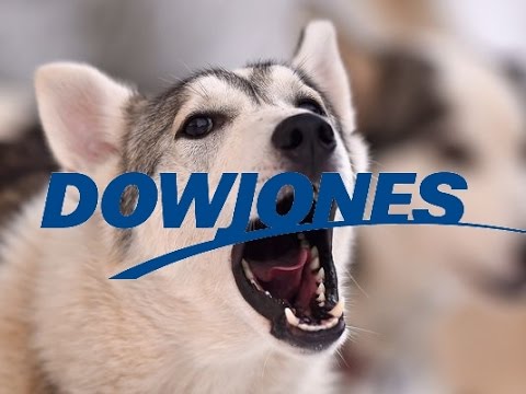 【2019年】ダウの犬10種のご紹介。GEが抜けてJPモルガンが加わった。